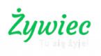 miasto żywiec logo